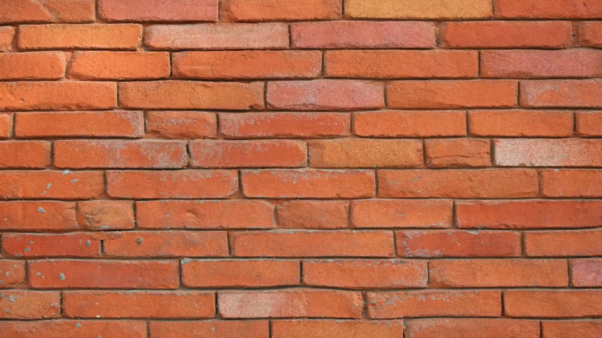 iDiMi-Build an efficient team