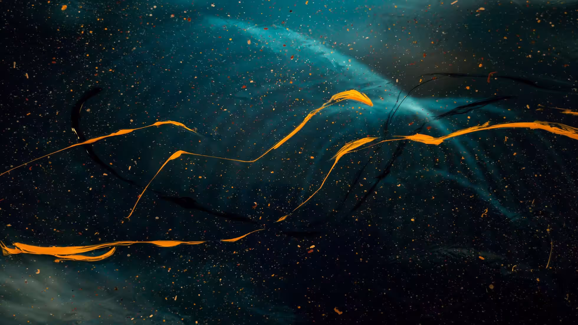 iDiMi-Die neue Wertpapiergesetzgebung begrüßen