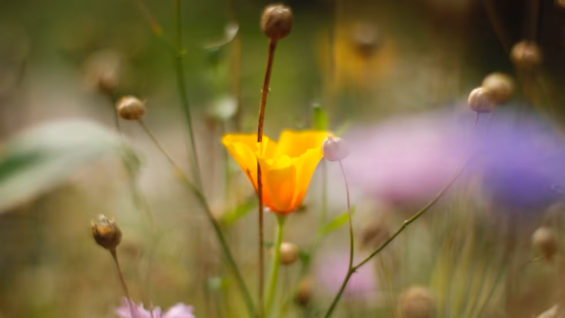 iDiMi-Средний возраст: как избежать игровой зависимости?