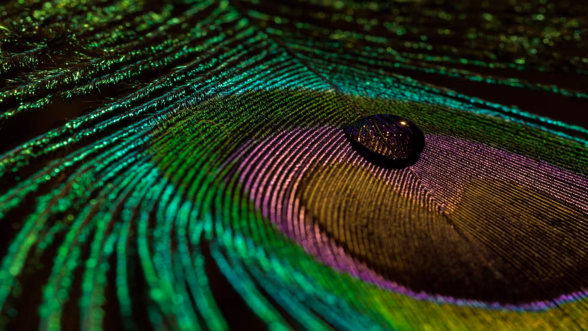 iDiMi-Will We Still Read Deeply?