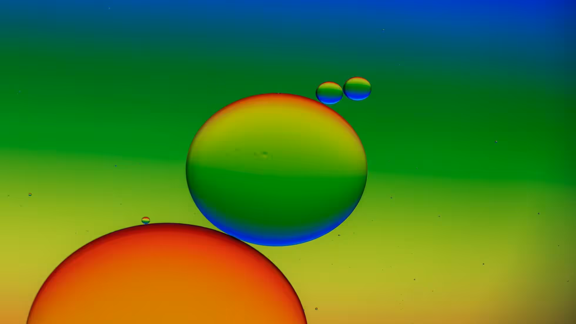 iDiMi-Pitfalls in Startup Equity Setting