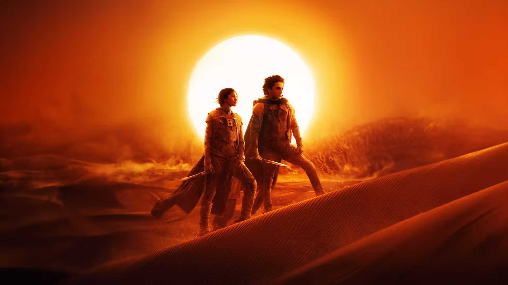 iDiMi- Recent Movies I've Watched