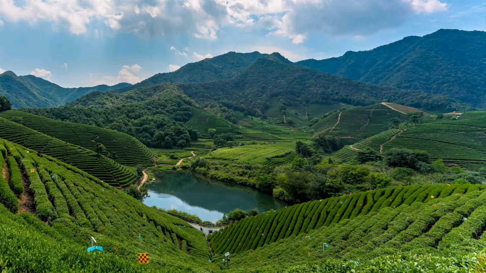 iDiMi-Four Seasons in Longwu